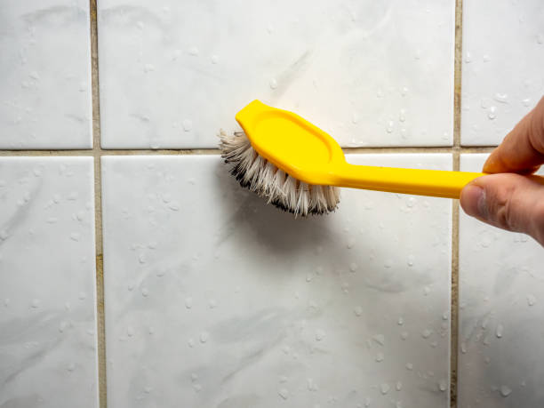 Office Mold Removal Services in Spring Green, WI