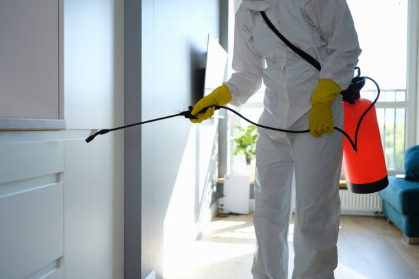 Best Local Mold Removal Service  in Spring Green, WI